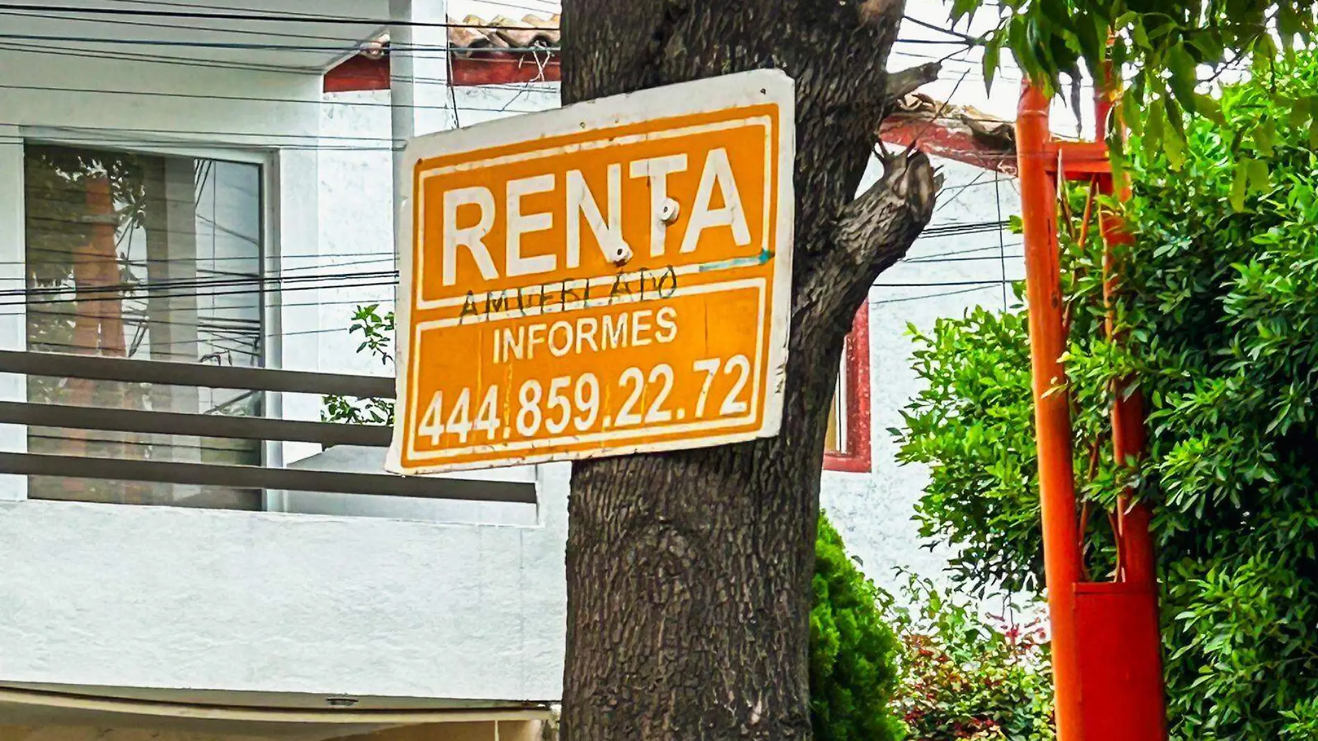 casas o negocios en renta venta 2